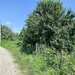 Bolintin Vale, curte 3200 mpintravilan, intre case