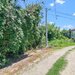 Bolintin Vale, curte 3200 mpintravilan, intre case