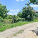 Bolintin Vale, curte 3200 mpintravilan, intre case